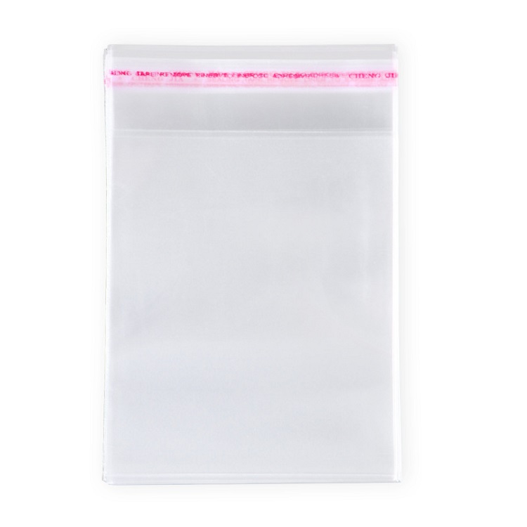 Small-Clear-Bags